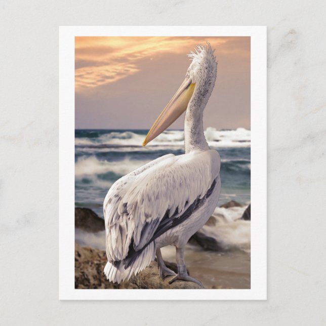 Carte Postale Plage de Pelican Ocean Waves coucher de soleil (Devant)