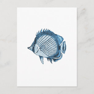 Carte Postale Plage de poisson mer marine mer côtière bleu