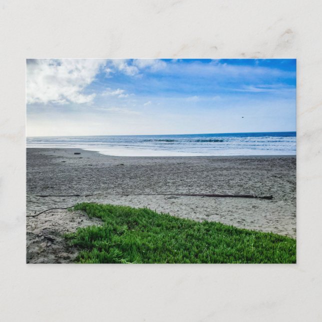 Carte Postale Plage de sable paisible (Devant)