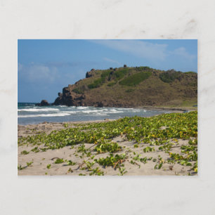 Carte Postale Plage des Caraïbes déserte Scène