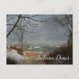Carte Postale Plage d'hiver, Lac, Dunes de l'Indiana Ntl.Lakesho