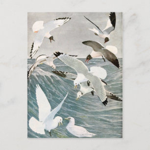 Carte Postale Plage d'oiseaux de mer vintage Plage d'été