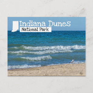 Carte Postale Plage du parc national des Dunes Indiana