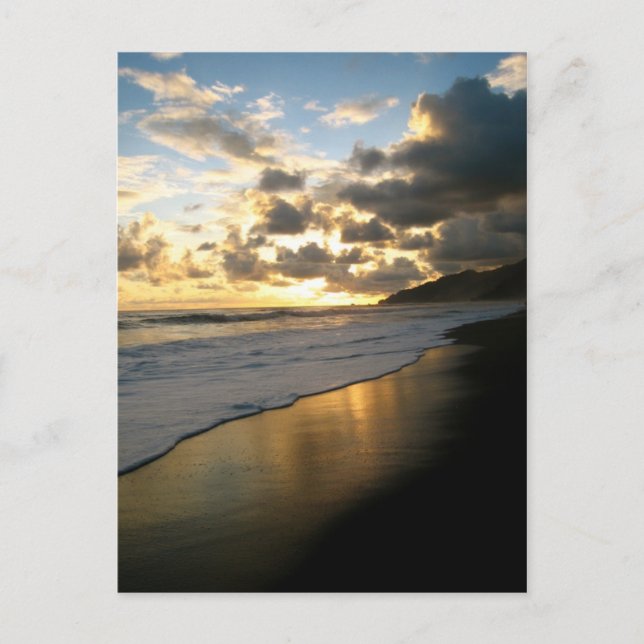 Carte Postale Plage du parc national du Corcovado (Devant)