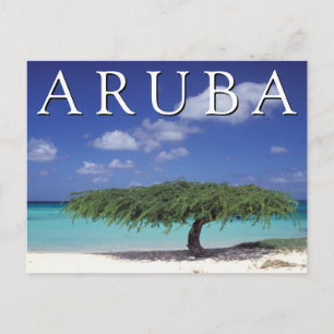 Carte Postale Plage Eagle Caraïbes, Aruba