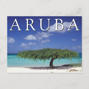 Carte Postale Plage Eagle   Caraïbes, Aruba
