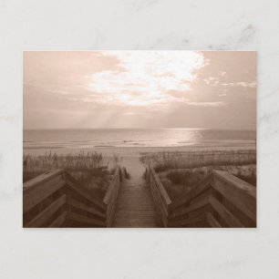 Carte Postale Plage en Floride