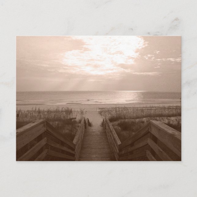 Carte Postale Plage en Floride (Devant)