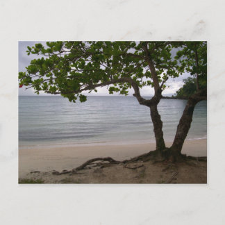 Carte Postale Plage Escondido