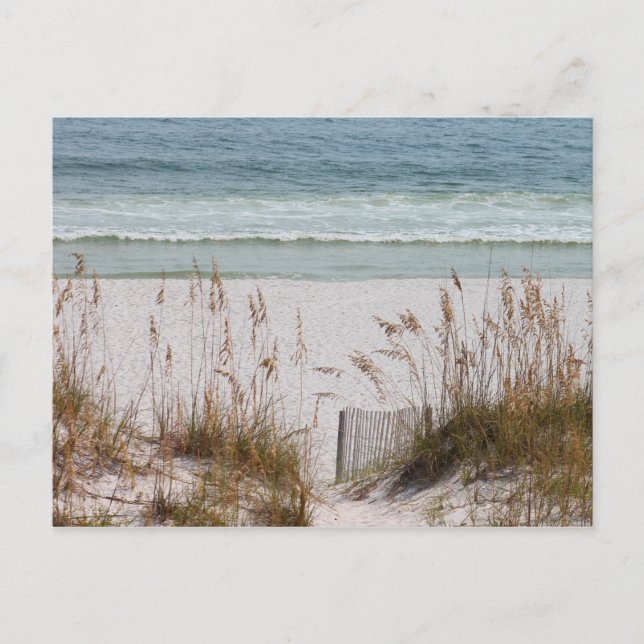 Carte Postale Plage et océan (Devant)