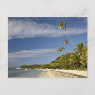 Carte Postale Plage et palmiers, Plantation Island Resort