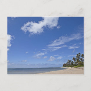 Carte Postale Plage hawaïenne avec palmiers.