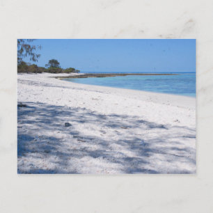 Carte Postale Plage isolée