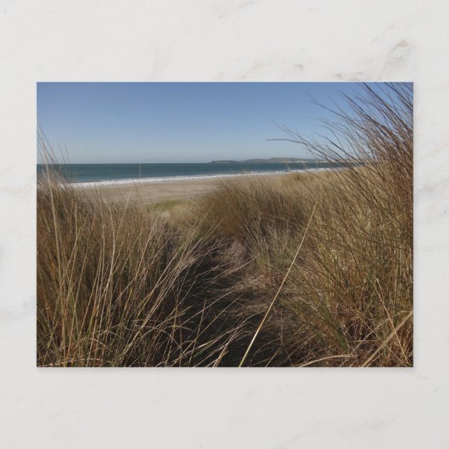 Carte Postale Plage Limantour à Point Reyes National Seashore I (Devant)