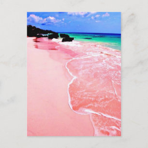 Carte Postale Plage rose des Bermudes