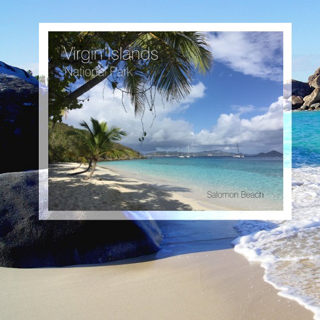 Carte Postale Plage saumon, Palmiers, Parc National des Îles Vie (Créateur téléchargé)