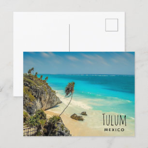 Carte Postale Plage tropicale aux palmiers balayés par le vent