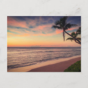Carte Postale Plage tropicale de palmiers au Sunset Post Card