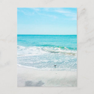 Carte Postale Plage tropicale Sable Ocean Waves Sea Shells Golfe