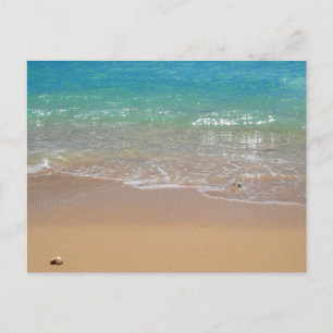 Carte Postale Plage tropicale - Waikiki, Oahu, Hawaii