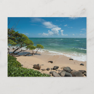 Carte Postale Plage Turquoise