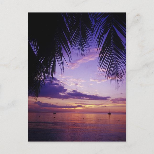 Carte Postale Plages à Negril, Jamaïque 2 (Devant)