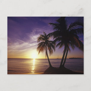 Carte Postale Plages à Negril, Jamaïque 3