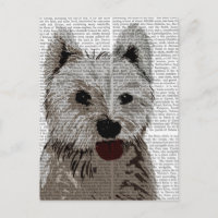Plaine Terrier de West Highland