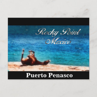 Carte Postale Plaisir Au Soleil