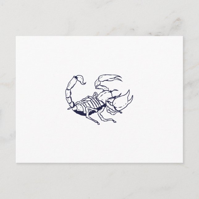 Carte Postale Plan de la main du scorpion tiré (Devant)