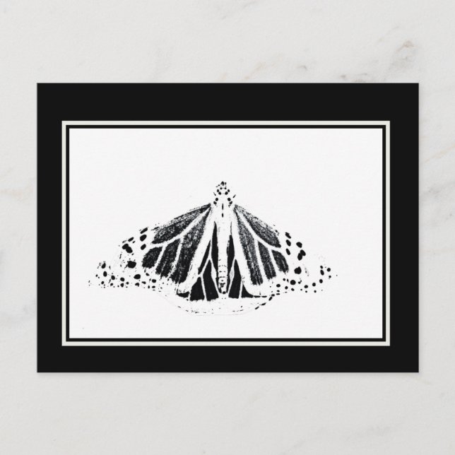 Carte Postale Plan Monarque (Devant)