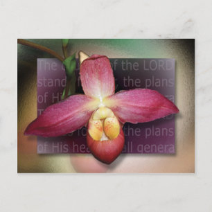 Carte Postale Plans de son coeur