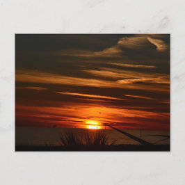 Carte Postale Plantation de Gulf Shores