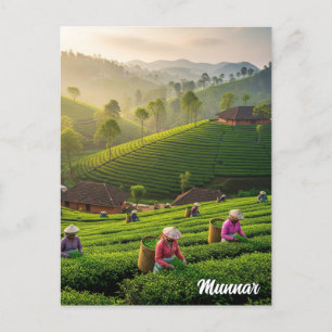 Carte Postale Plantation de thé Munnar Kerala India