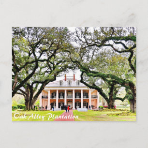 Carte Postale Plantation d'Oak Alley