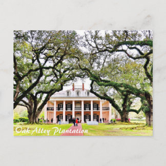 Carte Postale Plantation d'Oak Alley