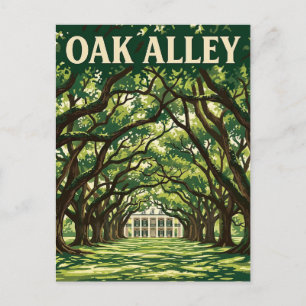 Carte Postale Plantation d'Oak Alley