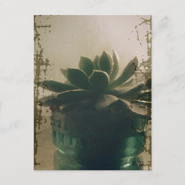 Carte Postale Plante (Devant)