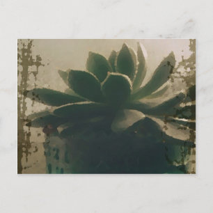 Carte Postale Plante