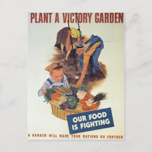 Carte Postale Plante a Victory Garden