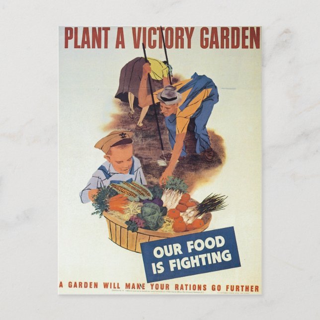 Carte Postale Plante a Victory Garden (Devant)