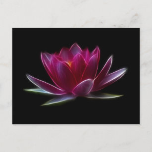 Carte Postale Plante aquatique de fleur de Lotus