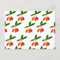 Plante de baie de Goji Fruit tropical exotique Nou