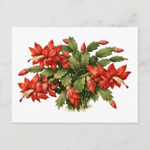 Carte Postale Plante de cactus de Noël rouge en fleurs 