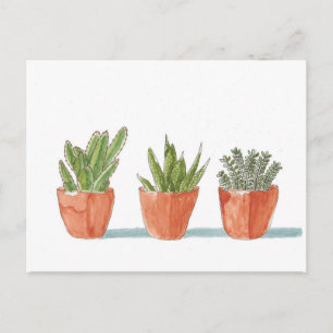 Carte Postale Plante de cactus Succulent aquarelle