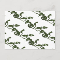 Plante de fromage Monstera Adanosii à motif vert