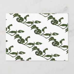 Carte Postale Plante de fromage Monstera Adanosii à motif vert