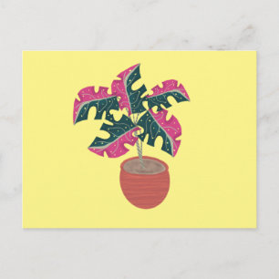 Carte Postale Plante en pot rose et verte panachée Monstera