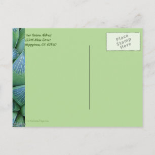 Carte postale Plante Succulent Merci vert personna