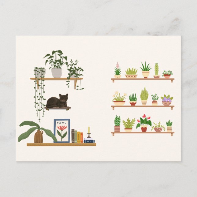 Carte Postale Plantes, Chats Et Livres - Boisson Chat esthétique (Devant)